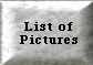 List of pictures